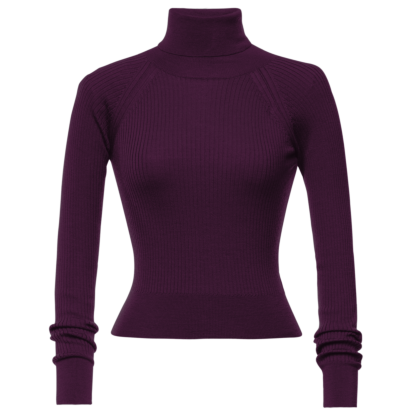 Wendy Turtleneck eggplant - New In